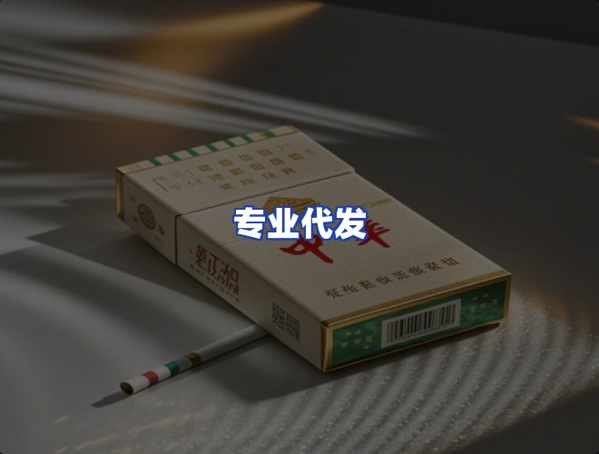专业团队